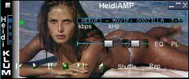 2 Heidi Amp