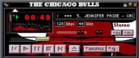 The Chicago Bulls