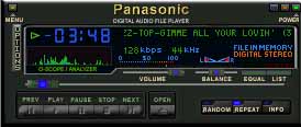 Panasonic